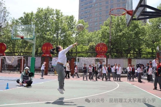 有哪些篮球战术训练的应用程序可以帮助我进步?_2